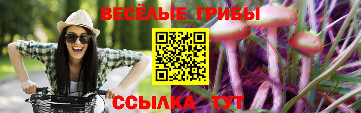 Псилоцибиновые грибы прущие грибы  Вход с VPN  Белорецк 